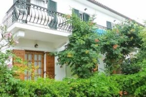 Řecko ; Zakynthos ; Studia Vasso